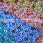 viscose printed fabric