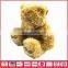 New Design Cheap Plush Audio Toys