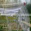 new HDPE garden anti bird netting/pe anti bird protection netting/vineyard mist nets /plant protection from animals