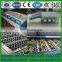 Newest latest fruit washing waxing and sorting machine