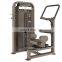 Dhz E5018 Rotary Torso Gym Equipment Fitness Machine