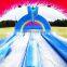 Colorful Inflatable Double Lane Water Slip Slide For Kids