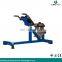 Hammer Strength Adjustable Roman Chair Gym Fitness Equipment