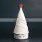 LED Decoration Lamp  Christmas Tree Shape lamp led home decoration for Indoor