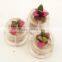 Miniplant "stone rose" mini succulent plant with mobile phone strap