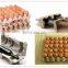 Commerical widely used egg tray making fruit crate production line waste cardboard recycling equipment