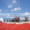 full automatic fruit jam tomato paste production machines Line