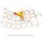 Sustainable Supplies Accessories Pet Small Cage Flying Chewing Foraging Parrot Toys Birds
