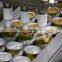 Design tools and equipment in fish processing with cheap price