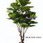 High Quality Fiddle Leaf Bonsai Plants Decorative Home Outdoor bonsai stand