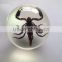 Hot selling plastic sphere ball with real insects ember embedded as promotion gifts