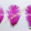 Art And Craft Feather Ostrich Feather Trim For Halloween Party Supplies