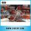 PLASTIC EXTRUDER MACHINE