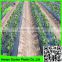 2015 Suntex supply agriculture poly clear black sliver color mulch film cover crops for protection seedlings roots