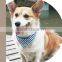 Dog collar bulk with bandana, several color for your choice.