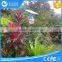 Outdoor 4W 8W 12W Integrated all in one solar LED garden light waterproof IP65                        
                                                                Most Popular
