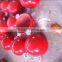 Aircraft warning sphere/Obstruction marking sphere / Power line marker ball