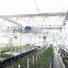 Circulation Fan for greenhouse