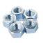 Hexagon Nuts