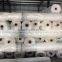 Hail net with a small mesh used to protect fruit , shrubs, buds and seedlings from damage caused by hail,crystal net