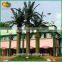 Decorative Outdoor Palm Tree Artificial Date Plam Tree Sale