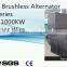 Self-excited brushless ac alternators with PMG