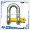 G80 drop forged bolt type dee shackle