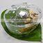 Japanese Wind up Music Box Hurdy Gurdy