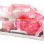 2013 New Year's Day Pet Brush And Pet Comb Suit -ZM1738