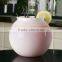 BPA free party Plastic cocktail bowl drinking fish bowl
