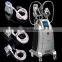 Local Fat Removal Hot Sale Factory Price Cryolipolysis Machine For Salon Clinc Home Use Fat Reduction