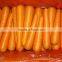 vacuum pack fresh carrots fresh vegetables