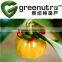 Garcinia Cambogia Extract,Garcinia Extract 60% hydroxycitric acid