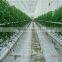 Automatic Dripping Irrigation System for Greenhouse