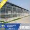 Multi Span Polycarbonate Sheet Greenhouse