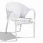 C - 1883 2015 modern style Leisure chair garden furniture