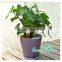 garden flower pots plastic plant pots wholesale potato planter used