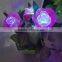 Color changing fiber optic flower vase lights, xmas decoration flower lights supplies