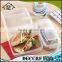 High Production 2 divided Plastic Sandwich Container Lunch Boxes,bento sandwich box kids, takeaway sandwich boxes wholesale