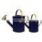 5L High Quality Garden Decoration/ Zinc Flower Planter Pot & Watering can/ Brass Rosette