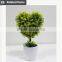 Home decoration items lucky-shaped plant artificial plants