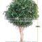 Located in china Hotel hall high simulation competitive price all kinds of 10ft high bonsai banyan tree plastic