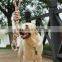 Free sample new style pet toy rope dog chew toy for large dogs