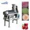 Fruit Juicer Vegetable Juice Extractor Machine