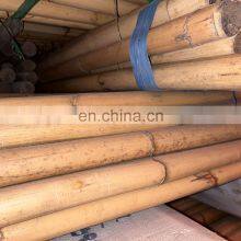 Rattan Manau With Peel Grade AB Grade ABC 3meter 4meter Manau Rattan Furniture Material Indonesian Malaysia Furniture Part thumbnail-2