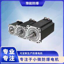 BS370-DC310V Brushless dc motor