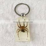 Real Butterfly Spider Wholesale Key Chain thumbnail-2
