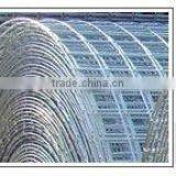 Galvanized Welded Wire Mesh