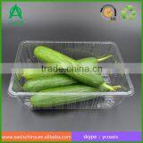 Transparent PS PP PET Disposable Plastic Vegetable Tray Tomato Tray thumbnail-1