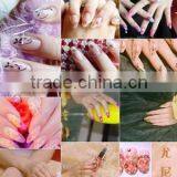 Chinese Hot Sale Digital Direct to Nail Printer for Sale thumbnail-6